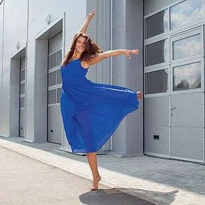 Промышленные ворота ProPlus Промышленные ворота ProPlus